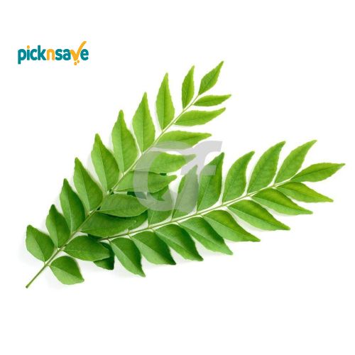 Fresh Curry Leaves