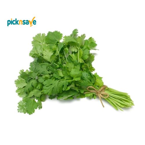 Fresh Coriander Bunch
