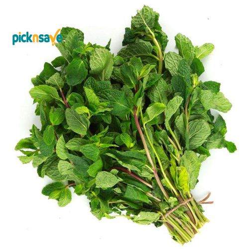 Fresh Mint Bunch